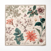 BOTANIKA SILK ASCOT – PREMIUM COLLECTION