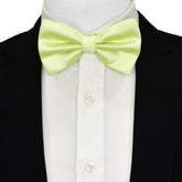 Silk Bow Tie | Light Green Bow Tie | Black Wolf