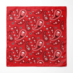 RED PAISLEY SILK ASCOT WITH LAPEL PIN AND POCKET SQUARE