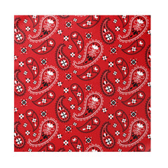 RED PAISLEY SILK ASCOT AND POCKET SQUARE SET – PREMIUM COLLECTION