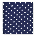BLUE SMALL POLKA DOTS SILK POCKET SQUARE